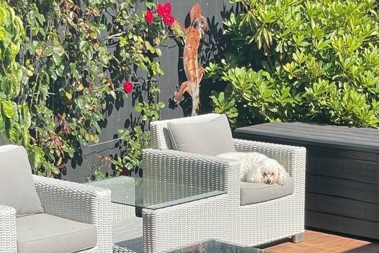 Photo of property in 3 Peak Lane, Halswell, 8025