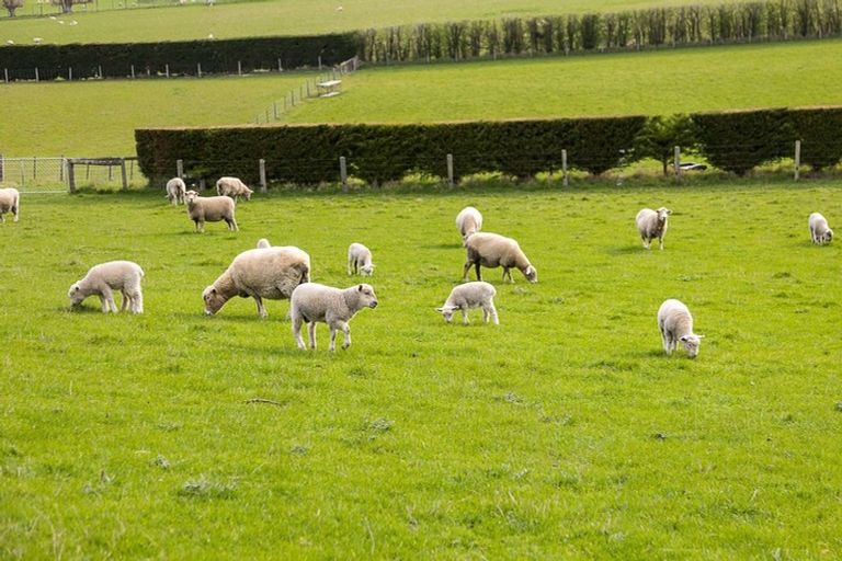 Photo of property in 309 Gladstone Road North, Mosgiel, 9092