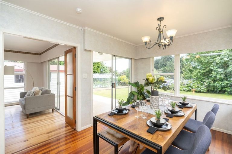 Photo of property in 115 Fitzroy Avenue, Fitzroy, Hamilton, 3206