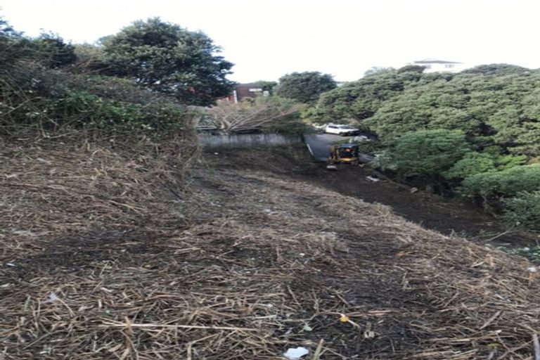 Photo of property in 75 Camperdown Road, Miramar, Wellington, 6022