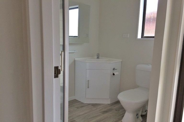 Photo of property in 93 Parker Avenue, Levin, 5510