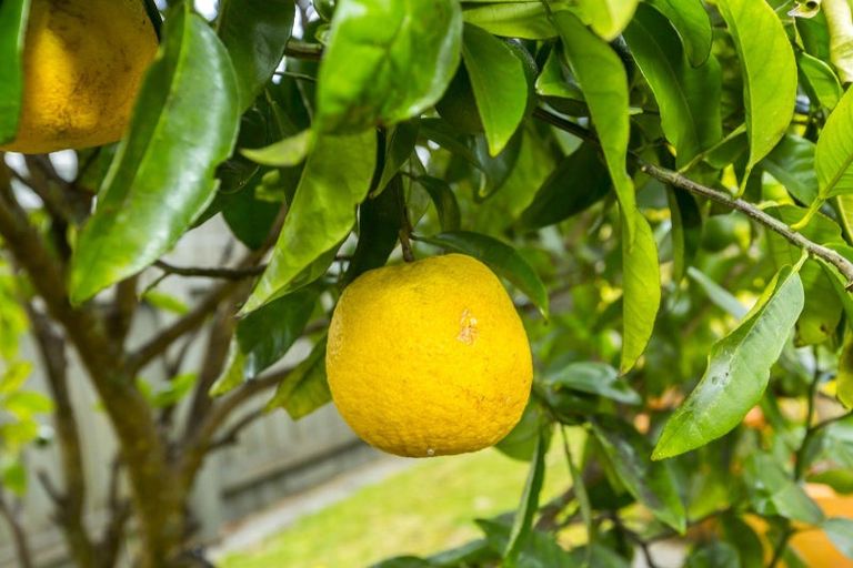 Photo of property in 108 California Drive, Totara Park, Upper Hutt, 5018