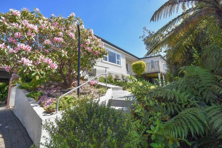 Photo of property in 10 Hawk Lane, Saint Leonards, Dunedin, 9022