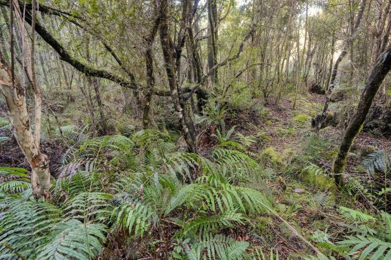 Photo of property in 67c Blue Spur Road, Blue Spur, Hokitika, 7882