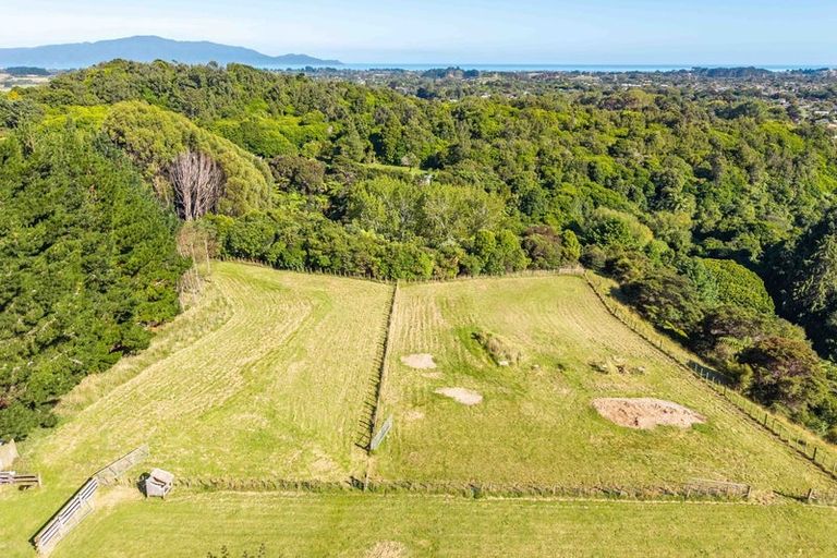 Photo of property in 91 Aston Road, Waikanae, 5391