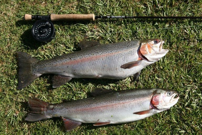 Photo of property in 483 Spencer Road, Lake Tarawera, Rotorua, 3076