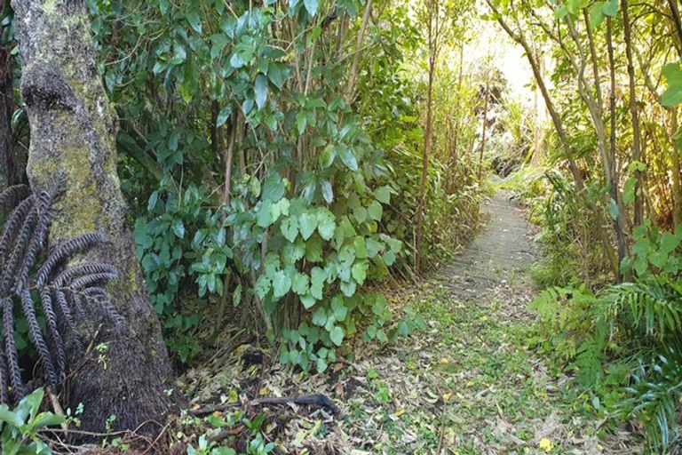 Photo of property in 36 Nyhane Drive, Ligar Bay, Takaka, 7183