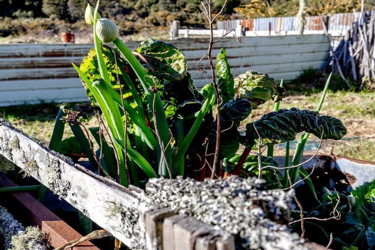 Photo of property in 28 Butlers Road, Ruatapu, Hokitika, 7883