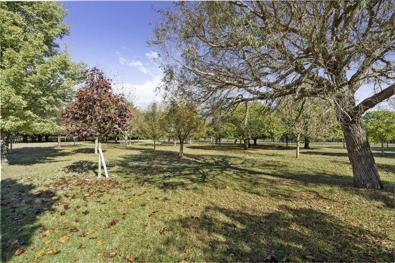 Photo of property in 237 Te Whiti Road, Homebush, Masterton, 5885