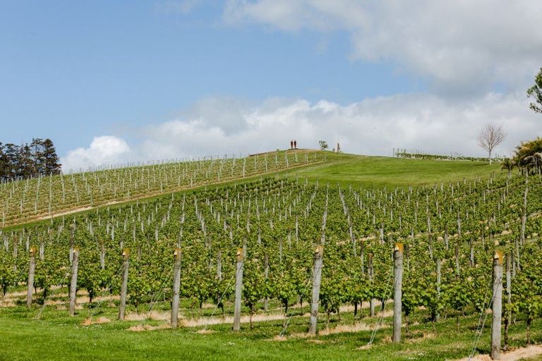 Photo of property in 245 Matakana Road, Warkworth, 0985