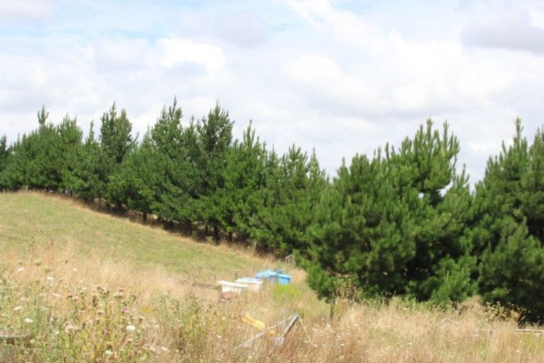 Photo of property in 311c Pinnacle Hill Road, Mangatawhiri, Bombay, 2675