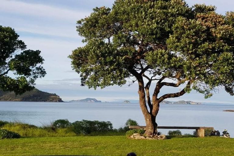 Photo of property in 1 Otautu Wharf Road, Colville, Coromandel, 3584