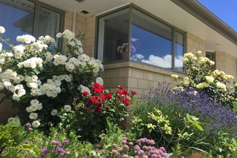 Photo of property in 17 Missy Crescent, Mount Pisa, Cromwell, 9383