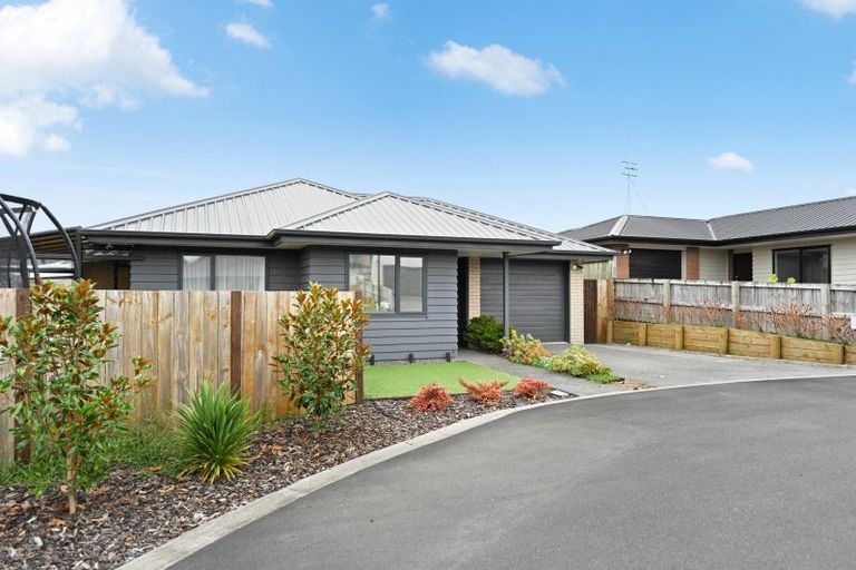 Photo of property in 21 Taotahi Avenue, Dinsdale, Hamilton, 3204