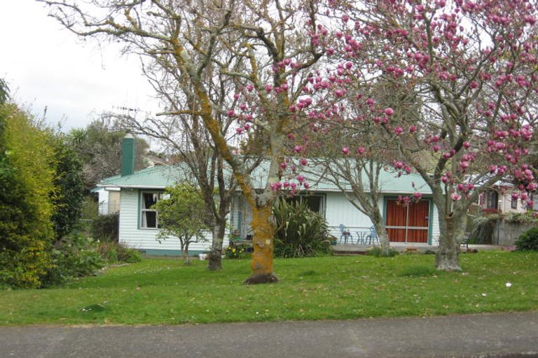 Photo of property in 19 Chester Street, Levin, 5510