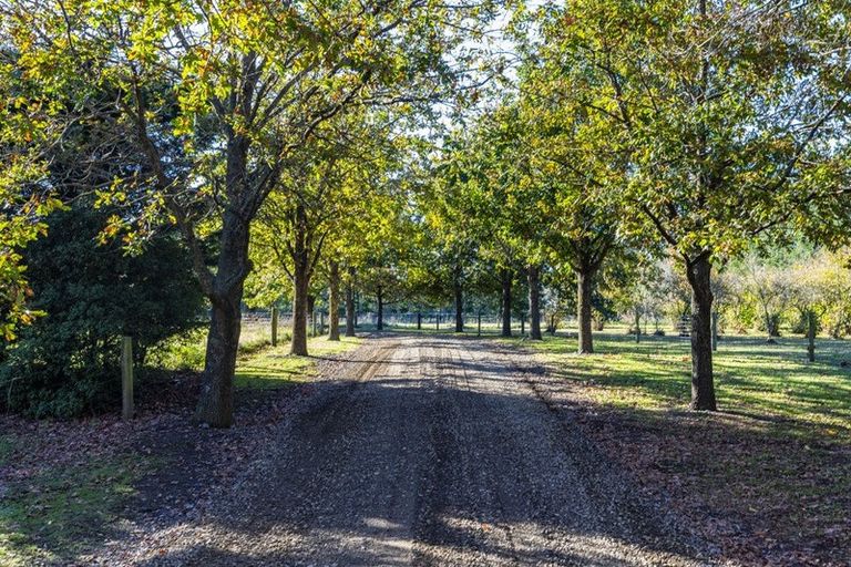 Photo of property in 1499 Tram Road, Swannanoa, Rangiora, 7475