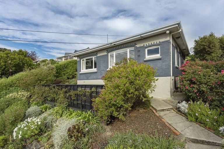 Photo of property in 21 Scotland Terrace, Green Island, Dunedin, 9018