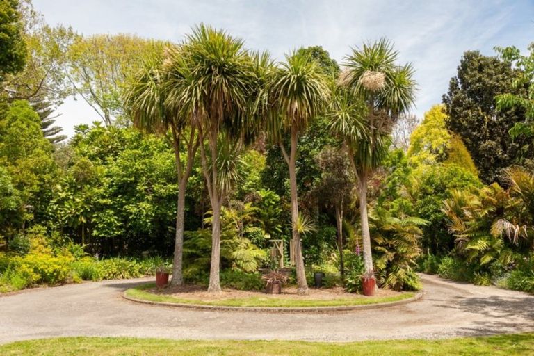 Photo of property in 33 Mokena Kohere Street, Manakau, Levin, 5573