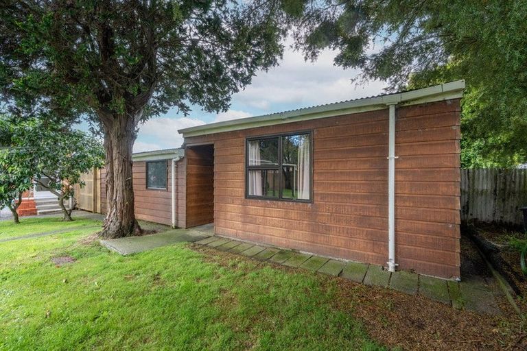 Photo of property in 145 Galloway Street, Hamilton East, Hamilton, 3216