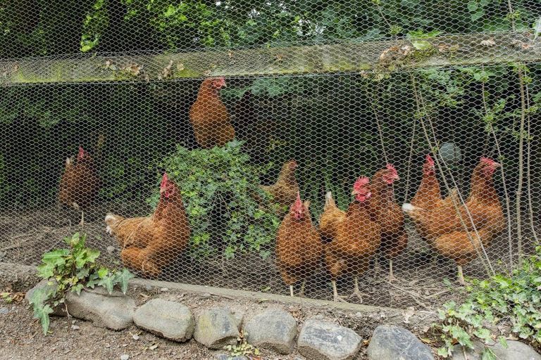 Photo of property in 2744 Tramway Road, Springfield, 7681