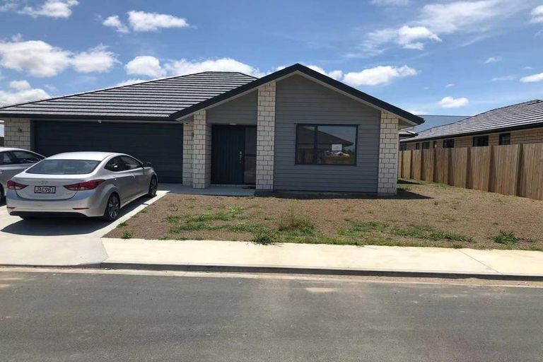 Photo of property in 42 Maggie Place, Chartwell, Hamilton, 3210