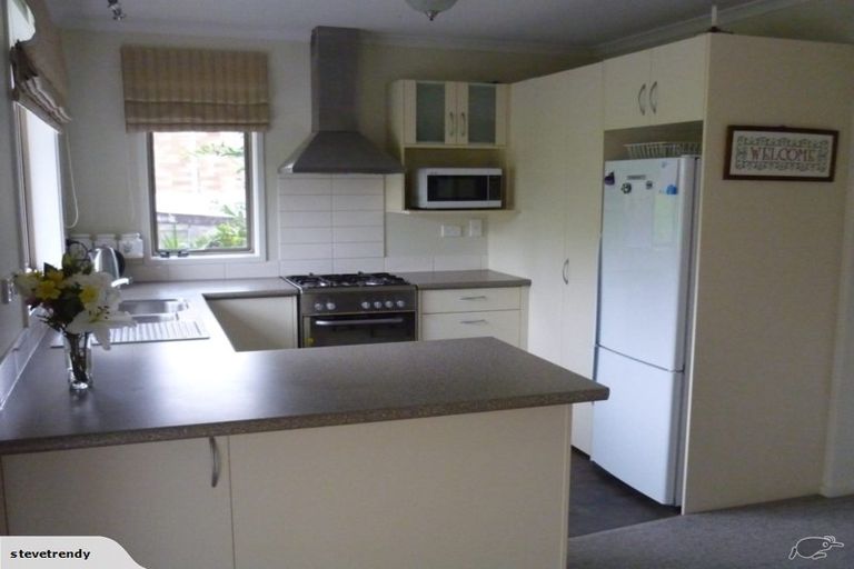 Photo of property in 241 Te Tomo Street, Te Awamutu, 3800