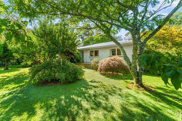 Photo of property in 664 State Highway 2, Tahawai, Katikati, 3170