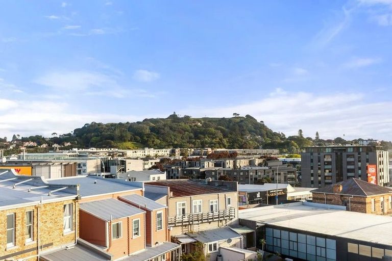 Photo of property in 102/45 Mount Eden Road, Grafton, Auckland, 1023
