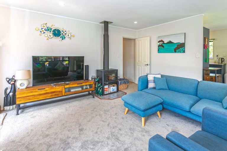 Photo of property in 738 The 309 Road, Waiau, Coromandel, 3581