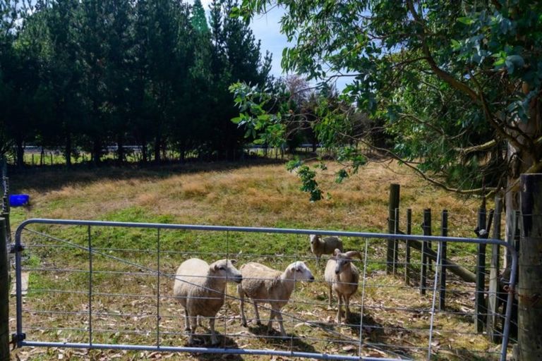 Photo of property in 5 Ascot Vale, Tikitere, Rotorua, 3074