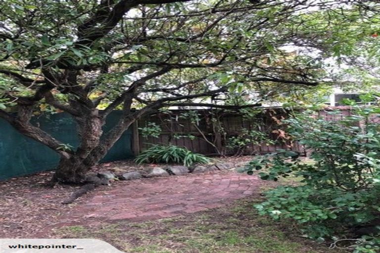 Photo of property in 41 Jutland Street, North New Brighton, Christchurch, 8083