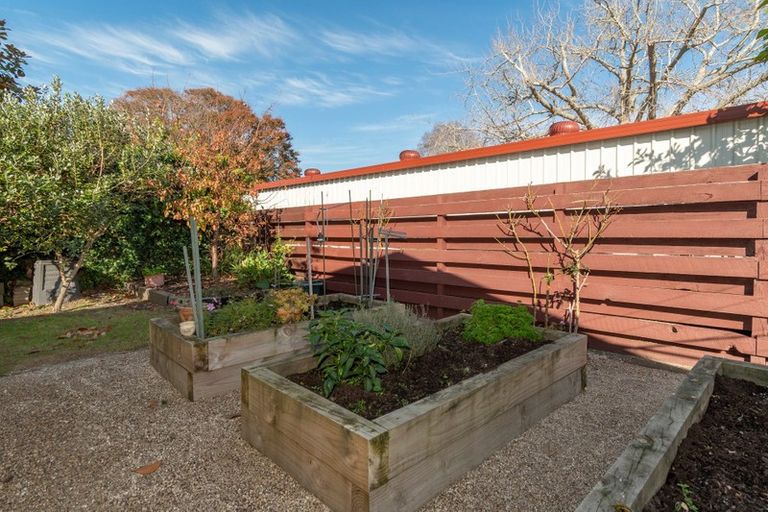 Photo of property in 50a Myres Street, Otumoetai, Tauranga, 3110