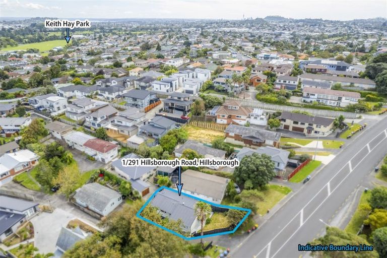 Photo of property in 1/291 Hillsborough Road, Hillsborough, Auckland, 1042