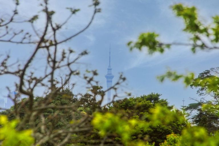 Photo of property in 805 Te Atatu Road, Te Atatu Peninsula, Auckland, 0610