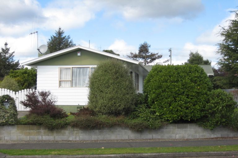 Photo of property in 29 Strathmore Avenue, Levin, 5510