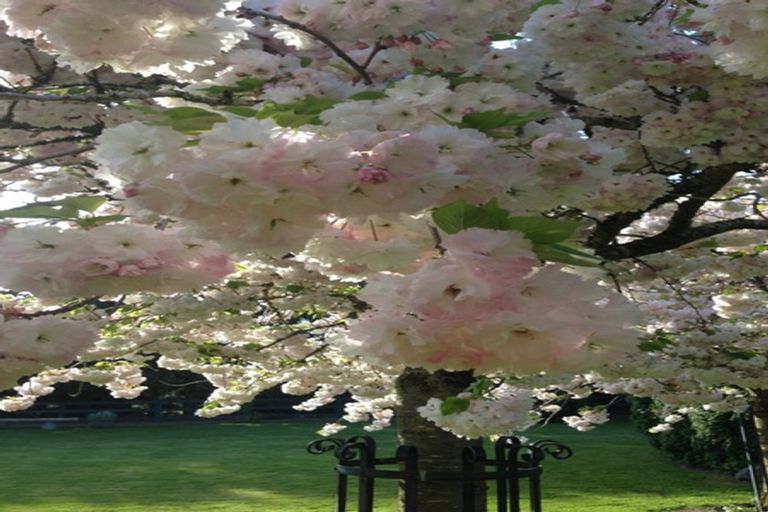 Photo of property in 886 Two Chain Road, Swannanoa, Rangiora, 7475