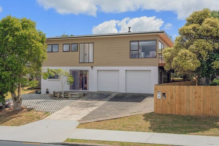 Photo of property in 163 Glamorgan Drive, Torbay, Auckland, 0630