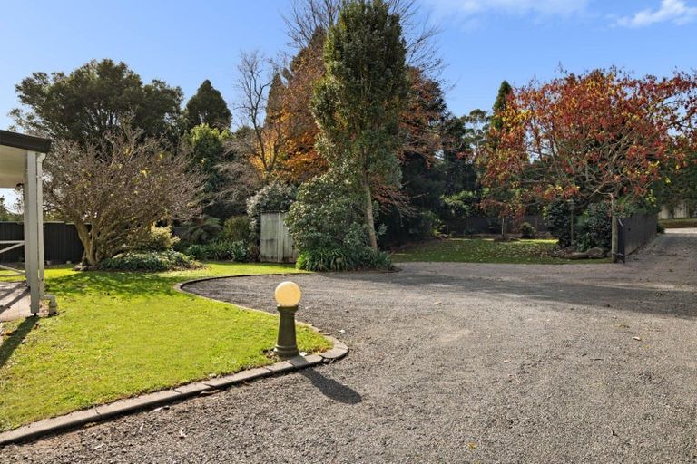 Photo of property in 556 Pyes Pa Road, Pyes Pa, Tauranga, 3173