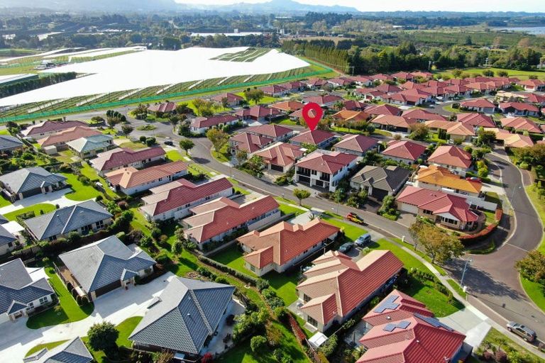 Photo of property in 6 Muirfield Crescent, Aongatete, Katikati, 3178