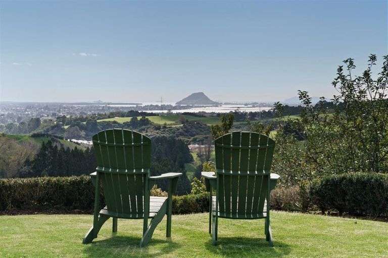 Photo of property in 457 Upper Ohauiti Road, Ohauiti, Tauranga, 3173