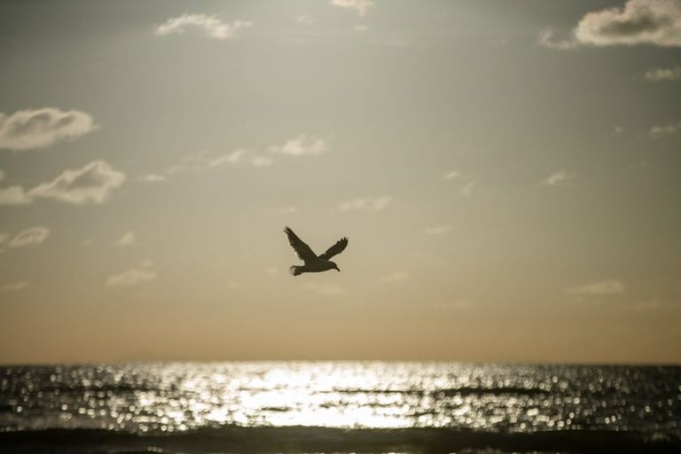 Photo of property in 52 Ames Street, Paekakariki, 5034