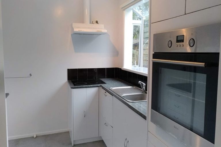 Photo of property in 19 Orion Place, Hillcrest, Auckland, 0627