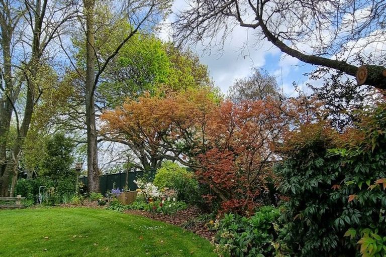 Photo of property in 590 Puahue Road, Rotoorangi, Te Awamutu, 3879