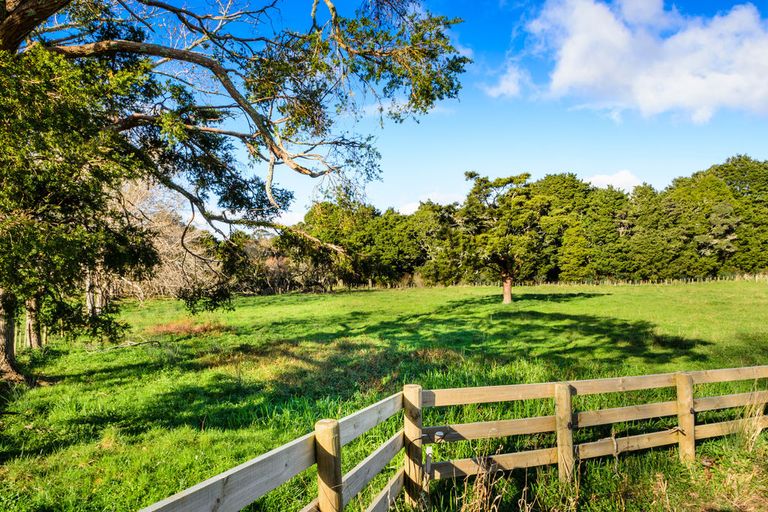 Photo of property in 1149a Whangaripo Valley Road, Whangaripo, Wellsford, 0972