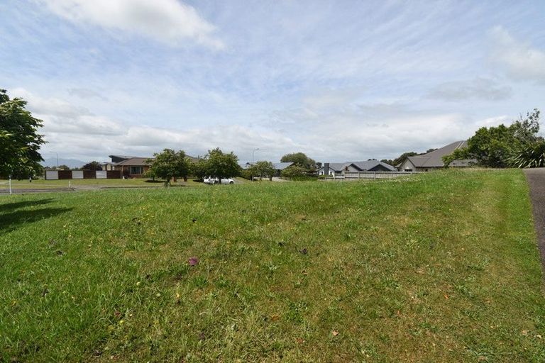 Photo of property in 62 Stirling Drive, Morrinsville, 3300