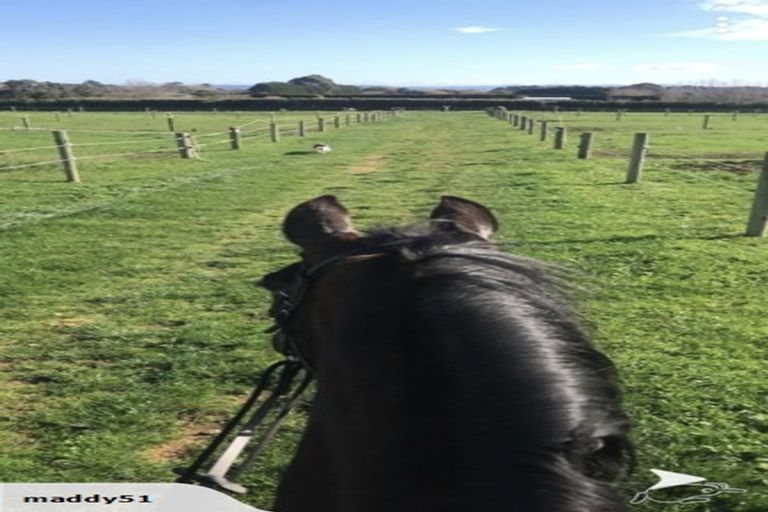 Photo of property in 149 Wright Road, Waiau Pa, Pukekohe, 2679