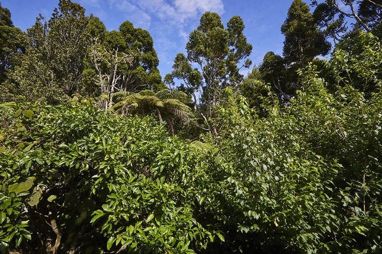 Photo of property in 37 Kopiko Road, Titirangi, Auckland, 0604
