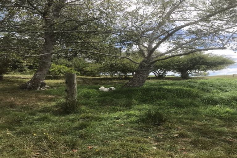 Photo of property in 130 Carruth Road, Poroti, Whangarei, 0179