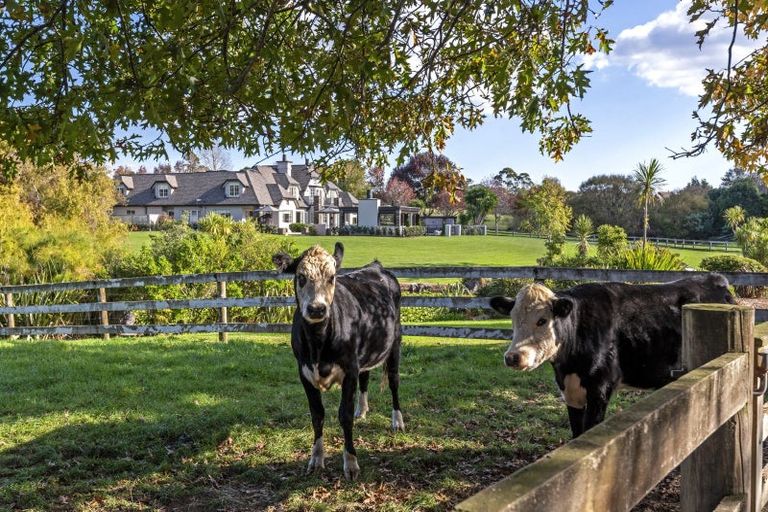 Photo of property in 38 Porterfield Road, Whitford, Howick, 2571