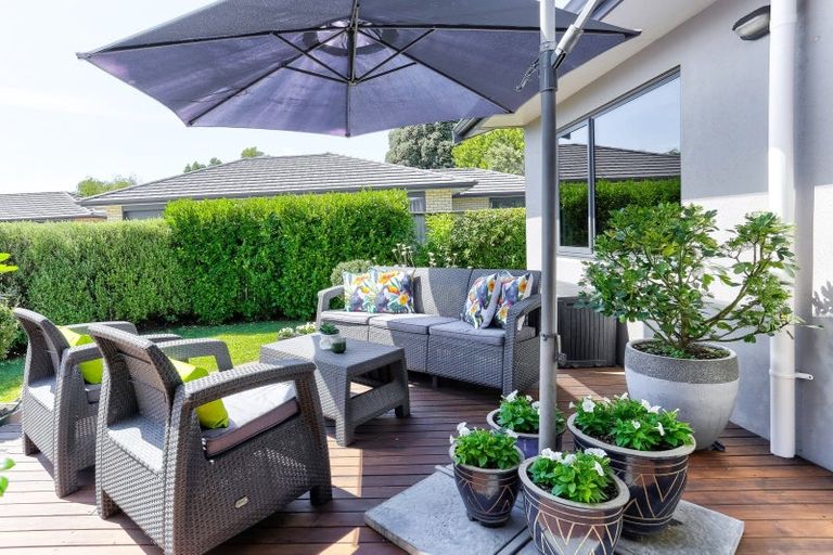 Photo of property in 7 Buckingham Place, Springvale, Whanganui, 4501